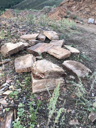 Плитняк кора дерева 50-100мм для пошаговых дорожек купить в Ивделе